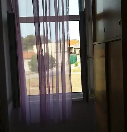 Viribus פולה