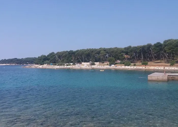 Viribus Διαμέρισμα *